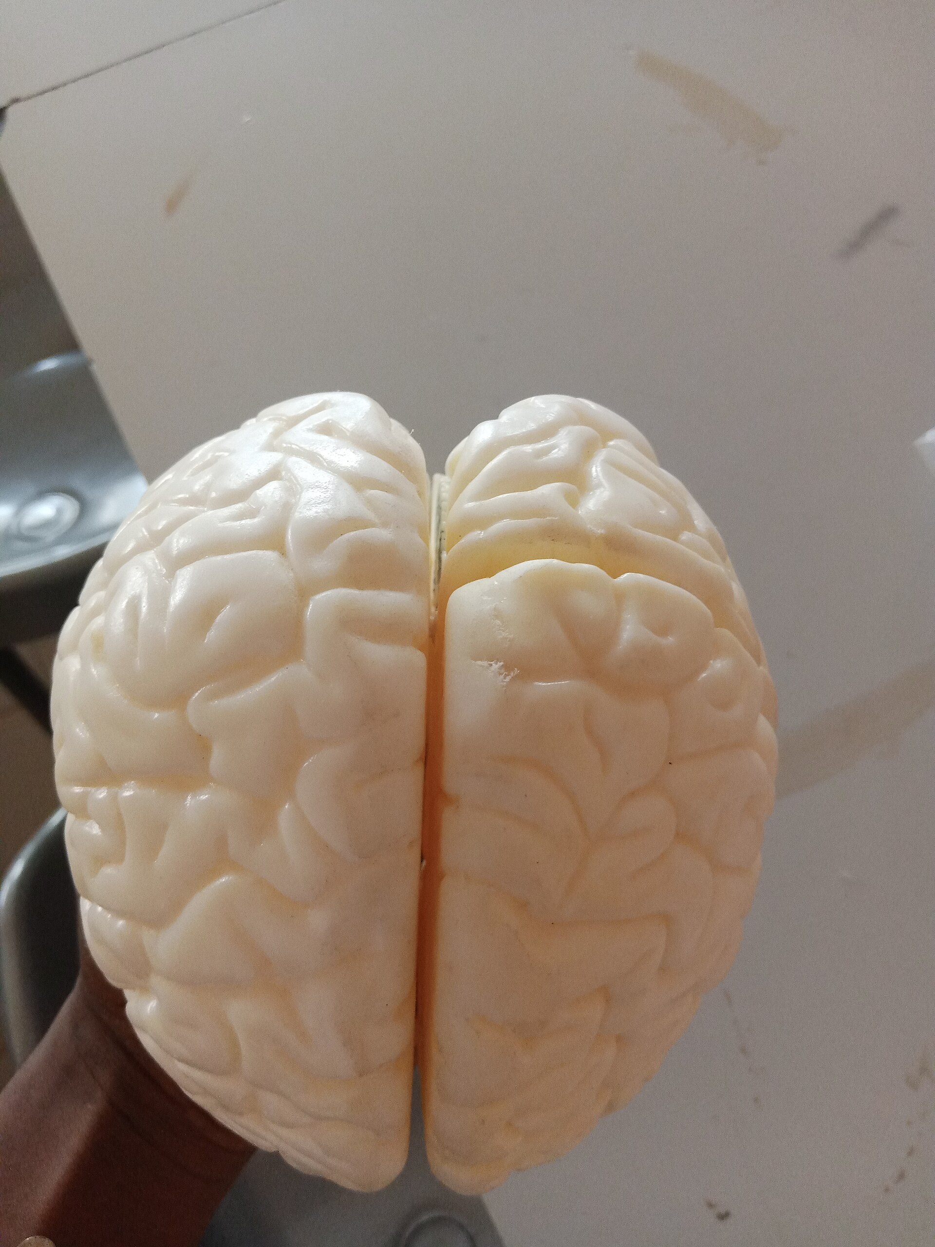 Infancia, neurodesarrollo y lenguaje